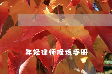 年轻律师修炼手册 年轻律师修炼手册