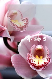 年龄53有逾期该找哪家网贷 年龄53有逾期该找哪家网贷