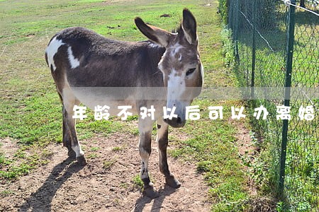 年龄不对以后可以办离婚吗 年龄不对以后可以办离婚吗