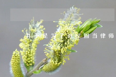 并不是为了进红圈当律师 并不是为了进红圈当律师