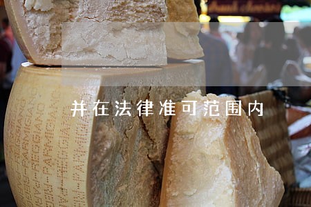 并在法律准可范围内 并在法律准可范围内