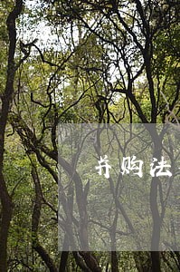 并购法律律师推荐 并购法律律师推荐
