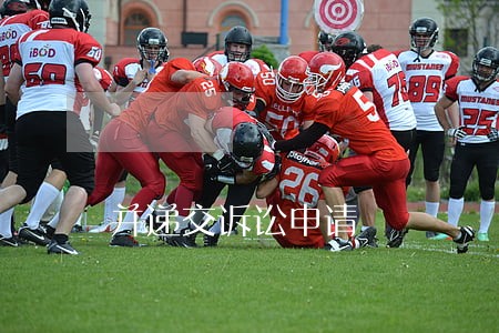 并递交诉讼申请 并递交诉讼申请