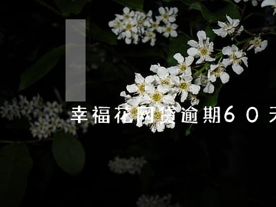 幸福花网贷逾期60天 幸福花网贷逾期60天