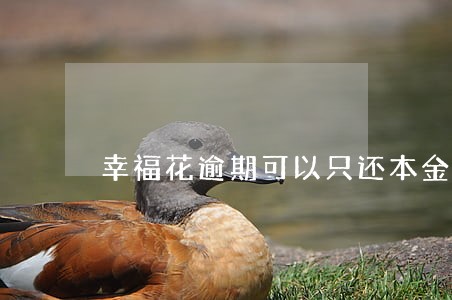 幸福花逾期可以只还本金吗