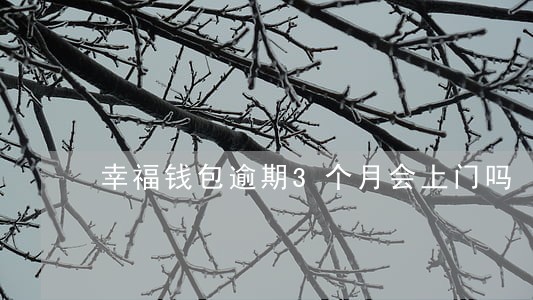 幸福钱包逾期3个月会上门吗 幸福钱包逾期3个月会上门吗