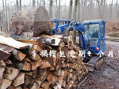 幸福钱包逾期4个月了 幸福钱包逾期4个月了