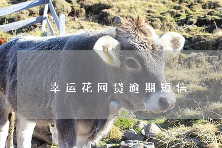 幸运花网贷逾期短信 幸运花网贷逾期短信