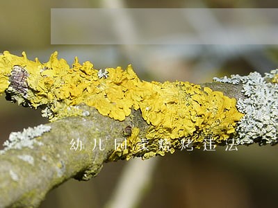 幼儿园卖烧烤违法 幼儿园卖烧烤违法