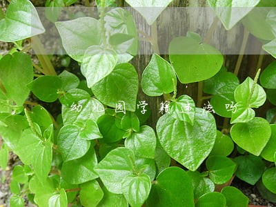 幼儿园学籍违法吗 幼儿园学籍违法吗