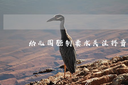 幼儿园强制要求关注抖音违法 幼儿园强制要求关注抖音违法
