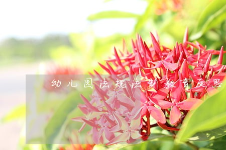 幼儿园法规法制教育反思 幼儿园法规法制教育反思