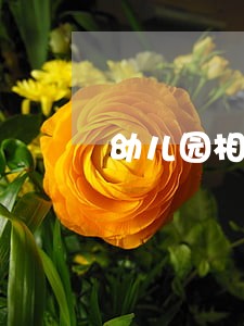 幼儿园相关的法规文件 幼儿园相关的法规文件