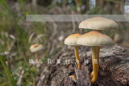 幼儿日常行为规范 幼儿日常行为规范
