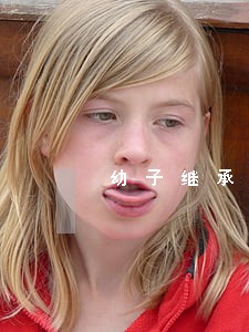 幼子继承法的好处 幼子继承法的好处