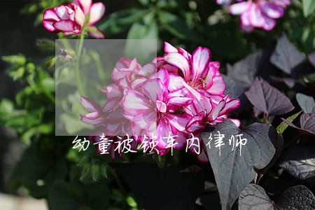 幼童被锁车内律师 幼童被锁车内律师