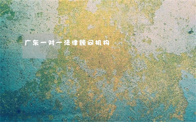 广东一对一法律顾问机构