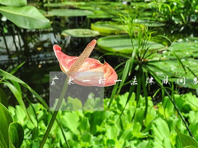 广东一村一法律顾问制度 广东一村一法律顾问制度