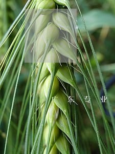 广东专业商标合同纠纷律师排名 广东专业商标合同纠纷律师排名