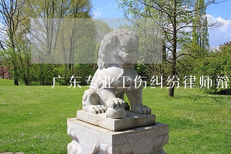 广东专业工伤纠纷律师辩护 广东专业工伤纠纷律师辩护