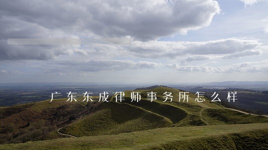 广东东成律师事务所怎么样 广东东成律师事务所怎么样