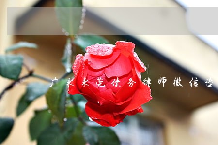 广东东莞债务律师微信咨询 广东东莞债务律师微信咨询