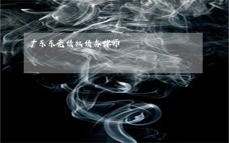 广东东莞债权债务律师 广东东莞债权债务律师