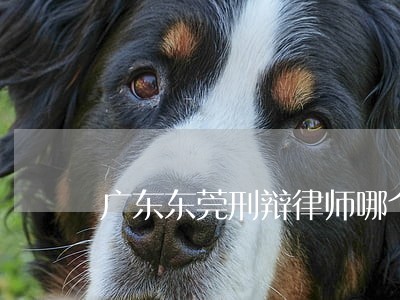 广东东莞刑辩律师哪个好 广东东莞刑辩律师哪个好