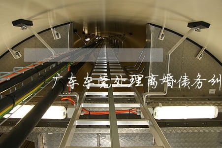 广东东莞处理离婚债务纠纷律师 广东东莞处理离婚债务纠纷律师
