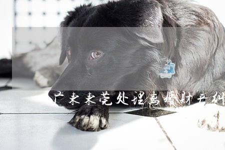 广东东莞处理离婚财产纠纷律师