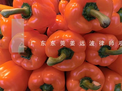 广东东莞姜远波律师观点 广东东莞姜远波律师观点