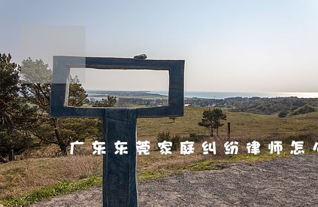 广东东莞家庭纠纷律师怎么委托 广东东莞家庭纠纷律师怎么委托