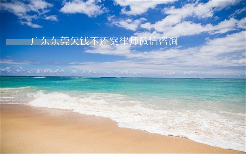 广东东莞欠钱不还案律师微信咨询