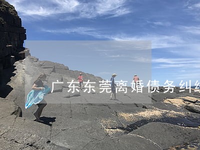 广东东莞离婚债务纠纷律师哪里找 广东东莞离婚债务纠纷律师哪里找