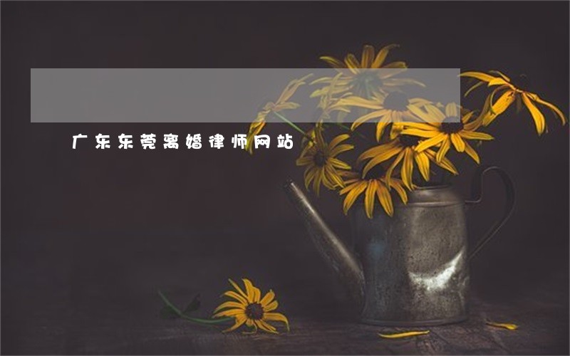 广东东莞离婚律师网站 广东东莞离婚律师网站