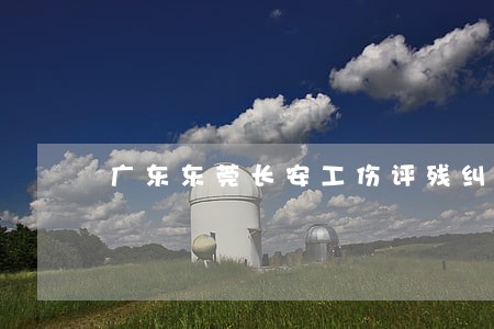 广东东莞长安工伤评残纠纷律师 广东东莞长安工伤评残纠纷律师