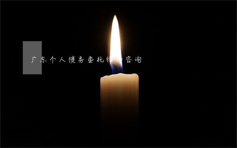 广东个人债务委托律师咨询