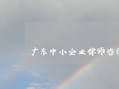广东中小企业律师咨询 广东中小企业律师咨询