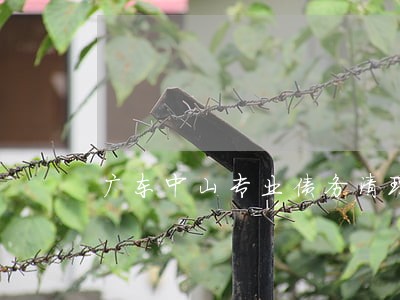 广东中山专业债务清理律师 广东中山专业债务清理律师