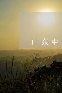 广东中山专业工伤纠纷律师咨询 广东中山专业工伤纠纷律师咨询