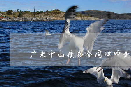 广东中山债务合同律师费用