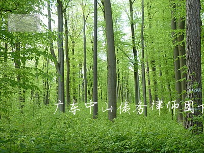 广东中山债务律师团队 广东中山债务律师团队