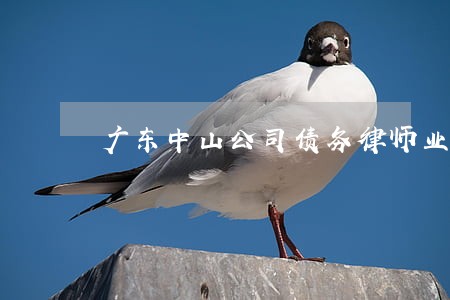 广东中山公司债务律师业务 广东中山公司债务律师业务