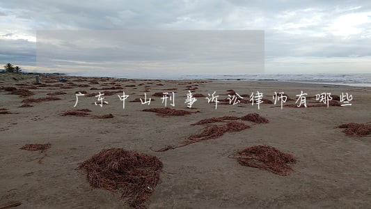 广东中山刑事诉讼律师有哪些