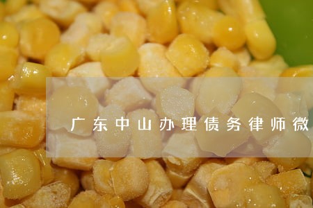 广东中山办理债务律师微信咨询 广东中山办理债务律师微信咨询