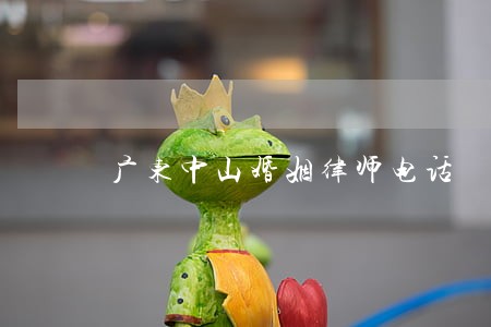广东中山婚姻律师电话 广东中山婚姻律师电话