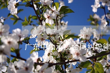 广东中山承揽合同纠纷律师 广东中山承揽合同纠纷律师