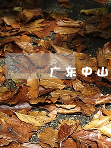 广东中山担保纠纷律师选哪个 广东中山担保纠纷律师选哪个