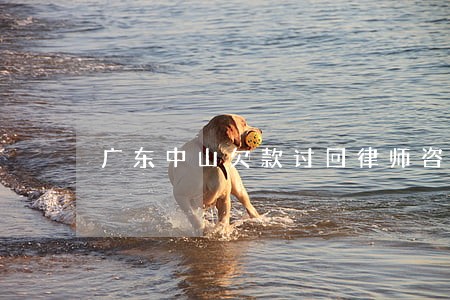 广东中山欠款讨回律师咨询网站