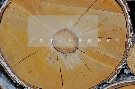 广东中山民事债务律师收费标准 广东中山民事债务律师收费标准